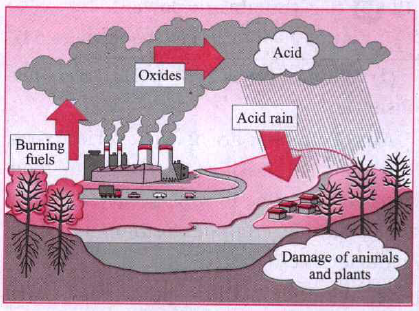 Given below is a diagram showing hazardous polluting event   Explain what is this and what are its effects shown in the diagram.