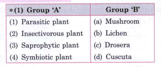 Match the pairs: