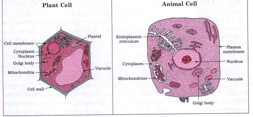 ocr_image