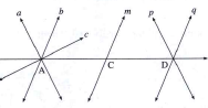 Observe the figure given below. Name   concurrent lines