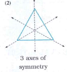 Draw the axis / axes of symmetry of each of the figures given below: Which of them has more than one axis of ?