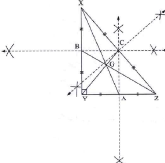 Draw a right angled XYZ. Draw its medians and show their point of concur-rence by G.