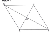Referring to the given figure of a parallelogram , write the answers of question given below :      If (WO) = 3.3 cm then l (WY) = ?