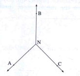 Name the pairs of adjacent angles in the figures given below :