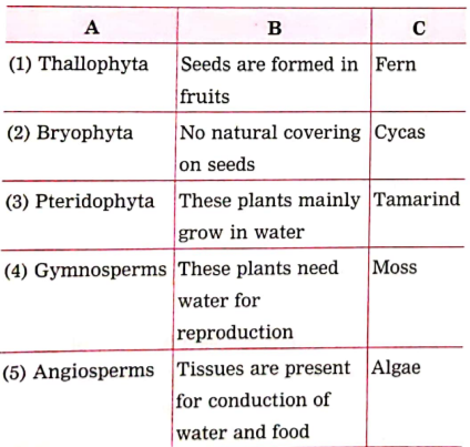 Match the proper terms from columns A and C with the description in Column B: