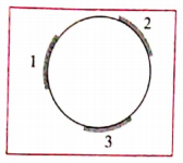Answer the following questions: Three mirrors are created from a single sphere. Which of the following- pole, centre of curvature, radius of curvature, principle axis will be common to them and which will not be common?