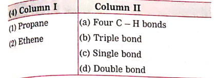 Match the columns: