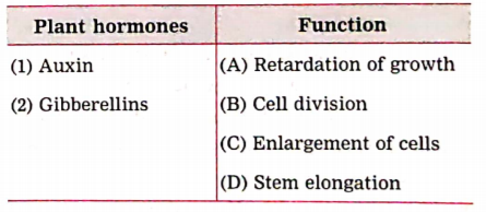 Match the pairs and explain :