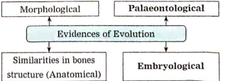 Diagram based question: Complete the following diagrams: