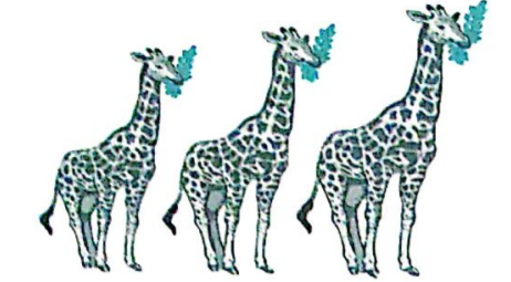 Diagram based question:  Which concept/theory do you remember after seeing this picture of Giraffes? Describe it is brief.