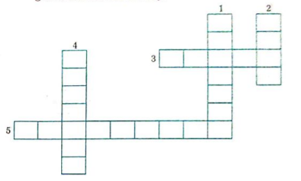 Activity-based Questions :  Solve the following crossword puzzle.  Maximum energy generation in India is done using............... energy.