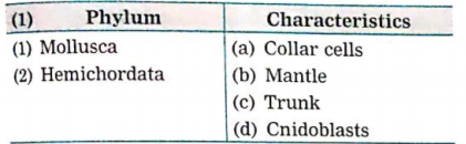 Match the columns: