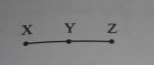 (i) X,Y ও Z তিনটি বিন্দুকে কী বলব? (ii)X, Y ও Z এই তিনটি বিন্দু দিয়ে কতগুলি সরলরেখাংশ তৈরি করা যাবে?