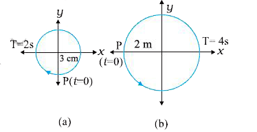 Figures 14.25 correspond to two circular motions. The radius of the circle, the period of revolution, the initial position, and the sense of revolution (i.e. clockwise or anti-clockwise) are indicated on each figure.      Obtain the corresponding simple harmonic motions of the x-projection of the radius vector of the revolving particle P, in each case.