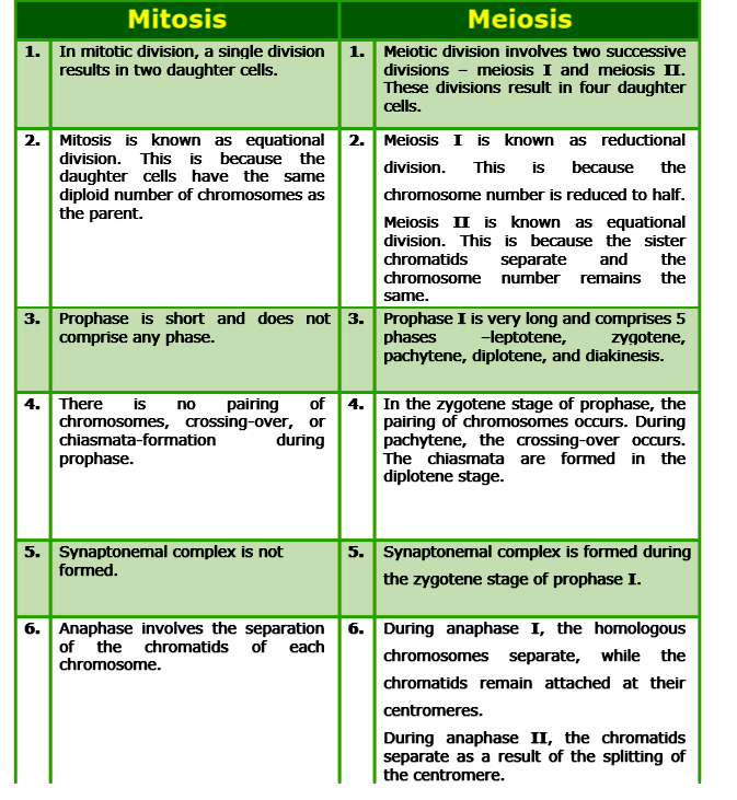 difference between mitosis and meiosis cell division