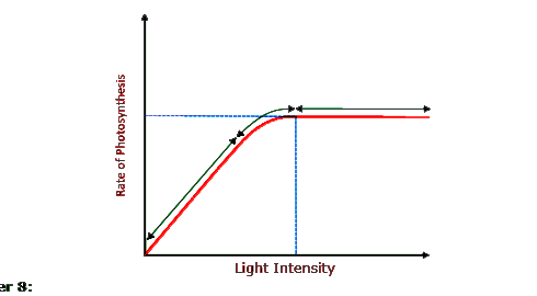 Figure 13.10 shows the effect of light on the rate of photosynthesis. Based on the graph, answer the following questions:     (a) At which point/s (A, B or C) in the curve is light a limiting factor?    (b) What could be the limiting factor/s in region A?     (c) What do C and D represent on the curve?