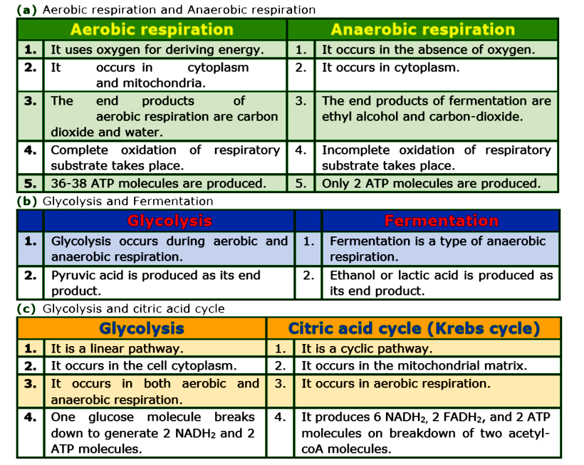 Anaerobic Respiration and Fermentation 