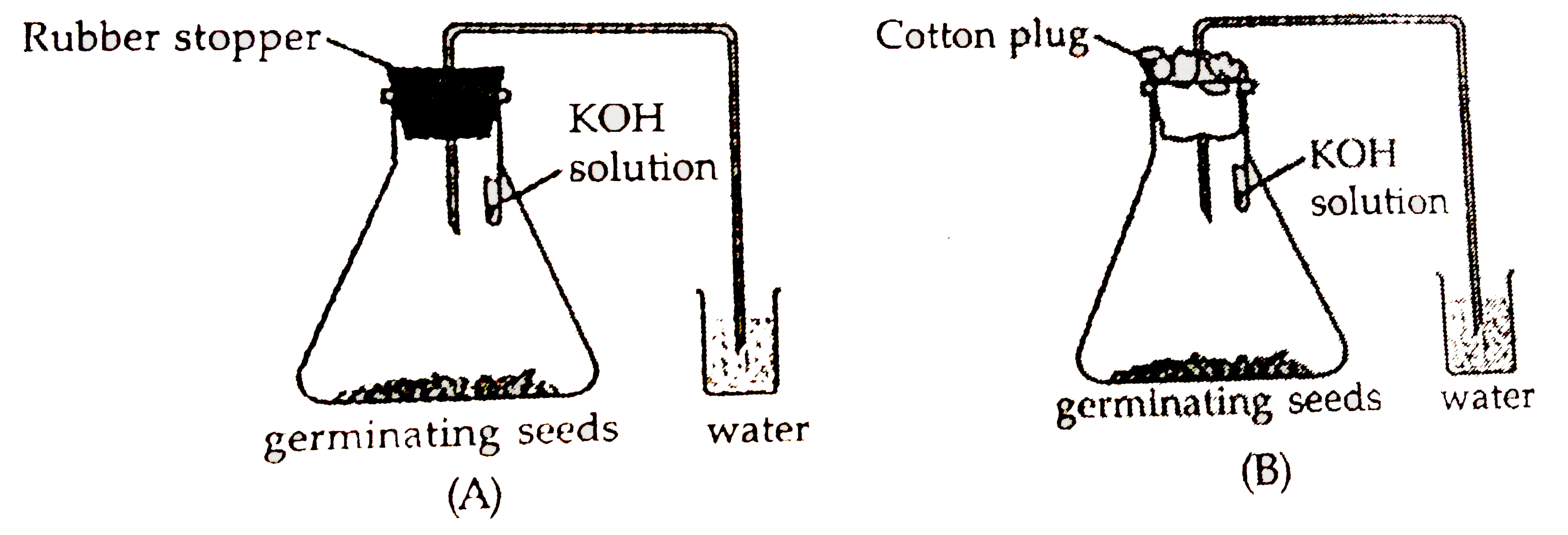 the-diagram-below-shows-an-experimental-set-up-to-investigate-osmosis