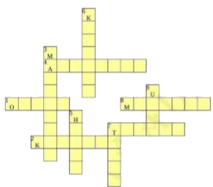 Crossword fun India is a country of many languages Let s see if you