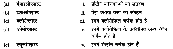 विषम जोड़ों का चयन कीजिए।