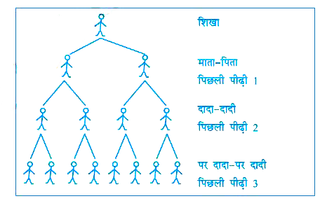 अपने परिवार के इतिहास का अध्ययन करने के लिए शिखा ने अपने पूर्वजो की पिछली 12 पीढ़ियों का रिकार्ड खोज लिया।  उसने पता किया कि पिछली 12 पीढ़ियों में उसके कितने पूर्वज थे इस संख्या को जानने के लिए, उसने एक आरेख बनाना प्रारम्भ किया कुछ समय बाद, आरेख जटिल होने लगा।       एक दी हुई पीढ़ी n के पूर्वजो की संख्या के लिए एक समीकरण लिखिए |