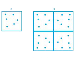 पैटर्न B में पैटर्न A जैसी चार टाइलें बनी हैं। पैटर्न A और B में नीले बिंदुओं और कुल बिंदुओं को शामिल करने वाला अनुपात लिखें। क्या वे सीधे अनुपात में हैं? यदि हाँ, तो समानुपात का अचर लिखिए।