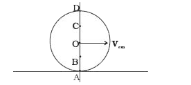 किसी क्षैतिज सड़क पर त्रिज्या का एक गोला बिना फिसले लुढ़कता है। संपर्क बिंदु A से गुजरने वाली ऊर्ध्वाधर रेखा पर चार बिंदु हैं A, B, C एवं D (चित्र 2)। इन बिंदुओं पर विद्यमान कणों के स्थानांतरीय क्या-क्या है? द्रव्यमान केंद्र का वेग V(em) है।