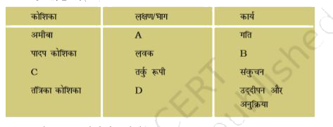 नीचे दी गई तालिका में कुछ शब्द दिए गए हैं और साथ ही चार रिक्त स्थान A, B, C और D दिए गए हैं -      नीचे दिए विकल्पों में से शब्दों के सही समुच्चय चुनिए-