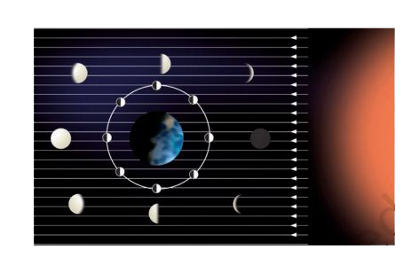 चित्र  को ध्यानपूर्वक देखिए और निम्नलिखित प्रश्नों के उत्तर दीजिए -    (a) शाम के समय आपको पूर्ण चन्द्रमा आकाश के किस भाग में दिखाई देगा?    (b) शाम के समय आपको नव चन्द्र आकाश के किस भाग में दिखाई देगा?