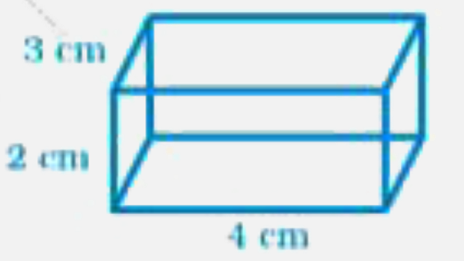 Draw the net of the following cuboid: