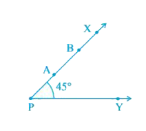 In Fig 2.5 if point A is shifted to point B along the ray PX such that PB = 2PA, then the measure of angleBPY is