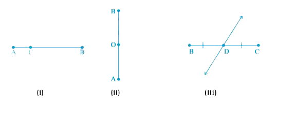 Which points in Fig. 2.31, appear to be mid - point of the line segments ? When you locate a mid - point, name the two equal oline segments formed by it