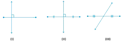 In which of the following figures (Fig. 2.35),   (a) perpendicular bisector is shown ?   (b) bisector is shown ?   (c ) only bisector is shown ?   (d) only perpendicular is shown ?