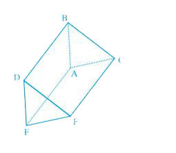Write the name of   (a) vertices   (b) edges , and   (c ) faces of the prism shown in Fig. 2.48