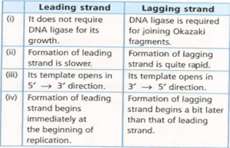 Which of the following differences are  incorrect between leading and lagging strands of DNA ?