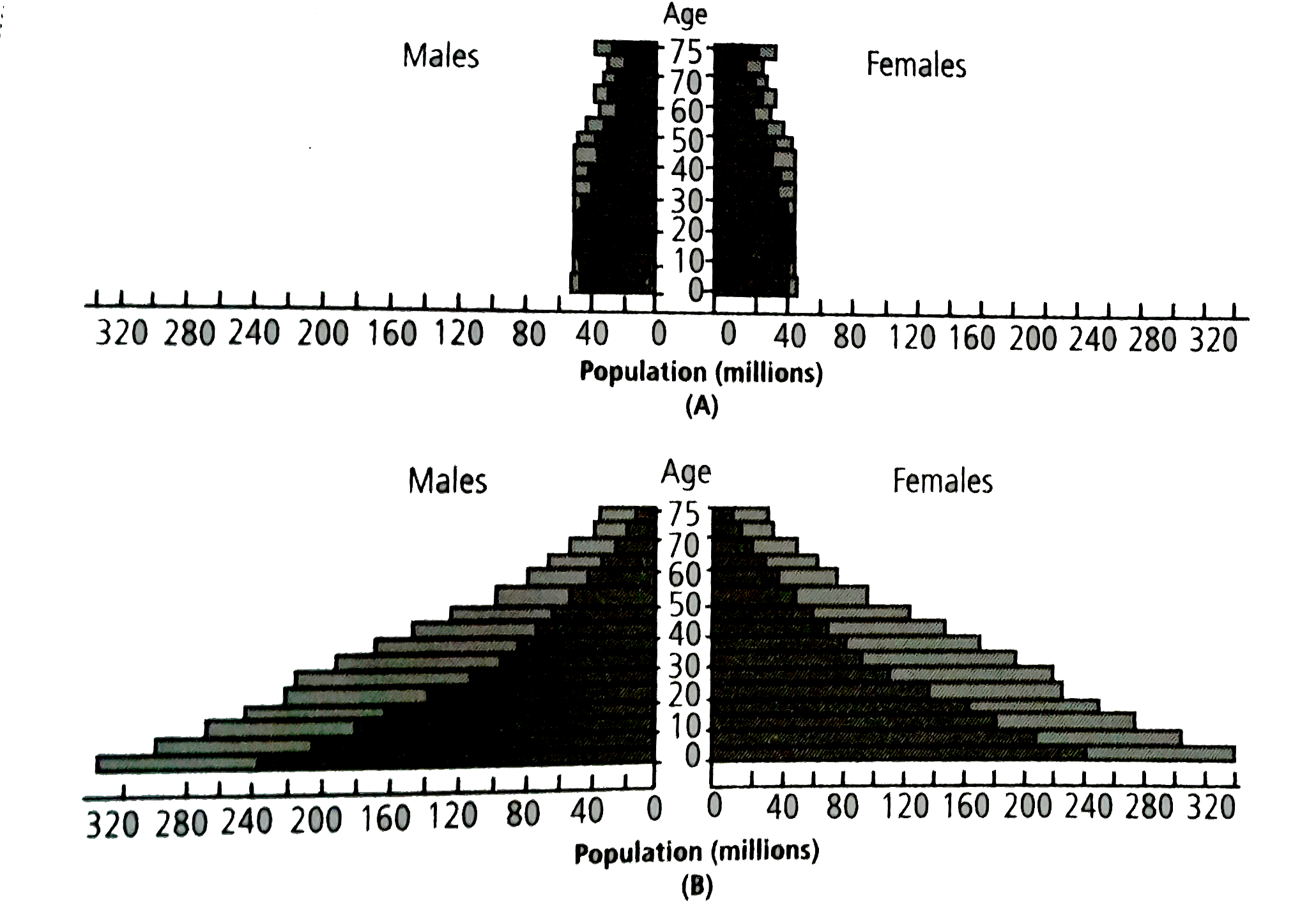 Age-sex sturcture of a population can be depicted in the form of a pyramid by plotting the percentage of population of each sex in each age class. Two age sex pyramids are given here.      Study carefully  the above age-sex pyramids and select the correct statements regarding these.