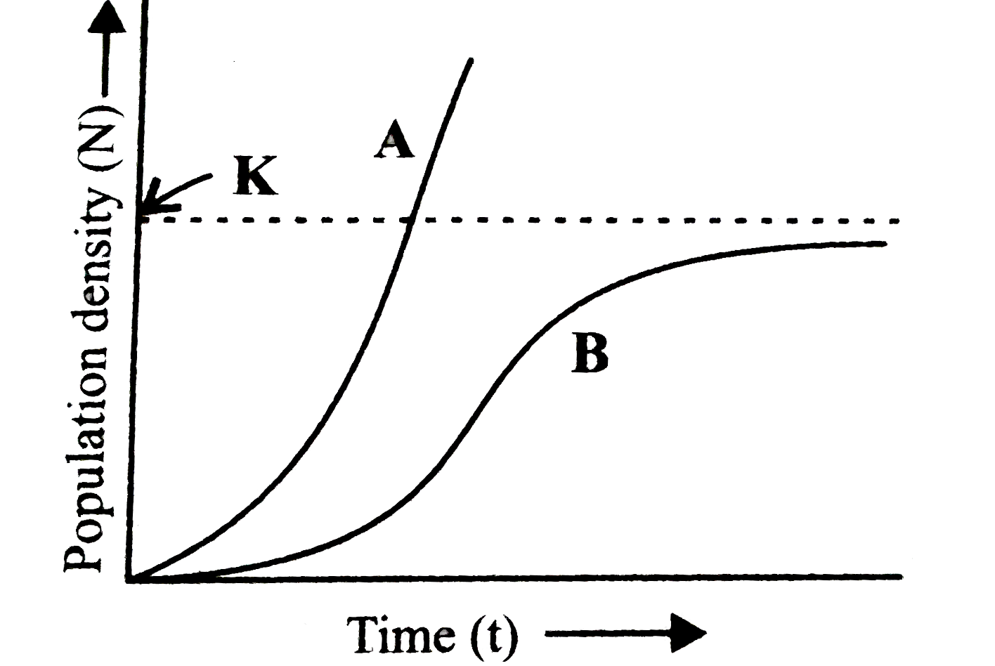 Study the population growth curves (A and B) in the given graph and select the incorrect option.