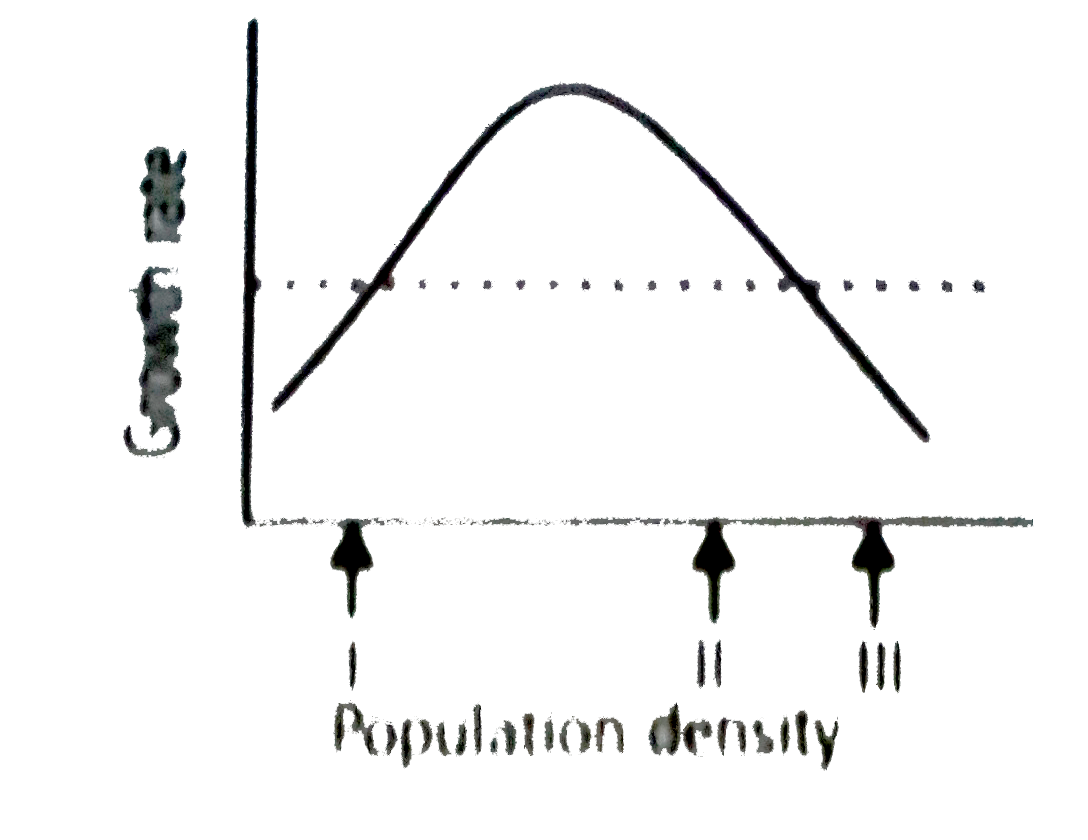 The relationship between population density (N(t)) and population growth rate (R = N(t+1) l N(t)) in a certain animal species is shown below.       Choose from the following graphs the appropriate populations growth patterns that would be obtained if the population is at the densities (I, II, III) shown in the graph above. [Note : THe y-axis in A to D is relative density that cannot be compared to the absolute density in the figure]