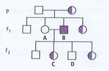 Study the given pedigree chart showing the inheritance if an X-linked  trait controlled by gene 'r'      What will be the genotypes of individuals A,B,C and D respectively ?