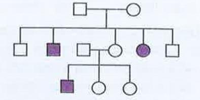 Study the pedigree chart of a family showing the inheritance of sickle-cell anaemia      The trait traced in the above pedigree chart is