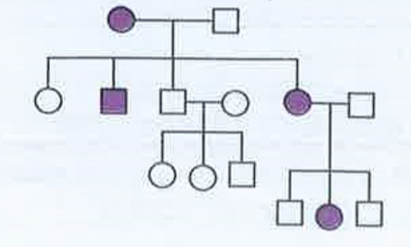 Study the pedigree chart of a family showing the inheritance of myotonic dsytrophy      The trait under study is