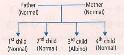 Refer to the given family tree and answer the question      If A= normal allele, a = albino allele, then genotypes of father and mother are respectively