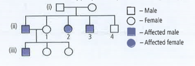 Study the given pedigree chart for sickle-cell anaemia and select the most appropriate option for the genotypes