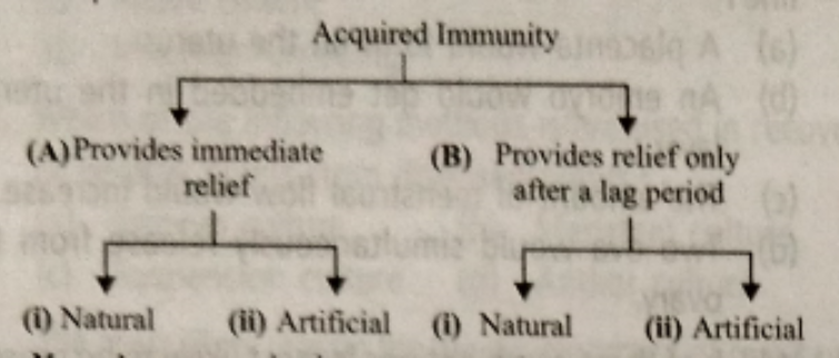 The given flow chart shows classfication of acquired immunity. What type of immunity will be development by the persons X and Y ?      X : A person who has recovered from an attack of measles   Y : A person who is given anti-tetanus serum.