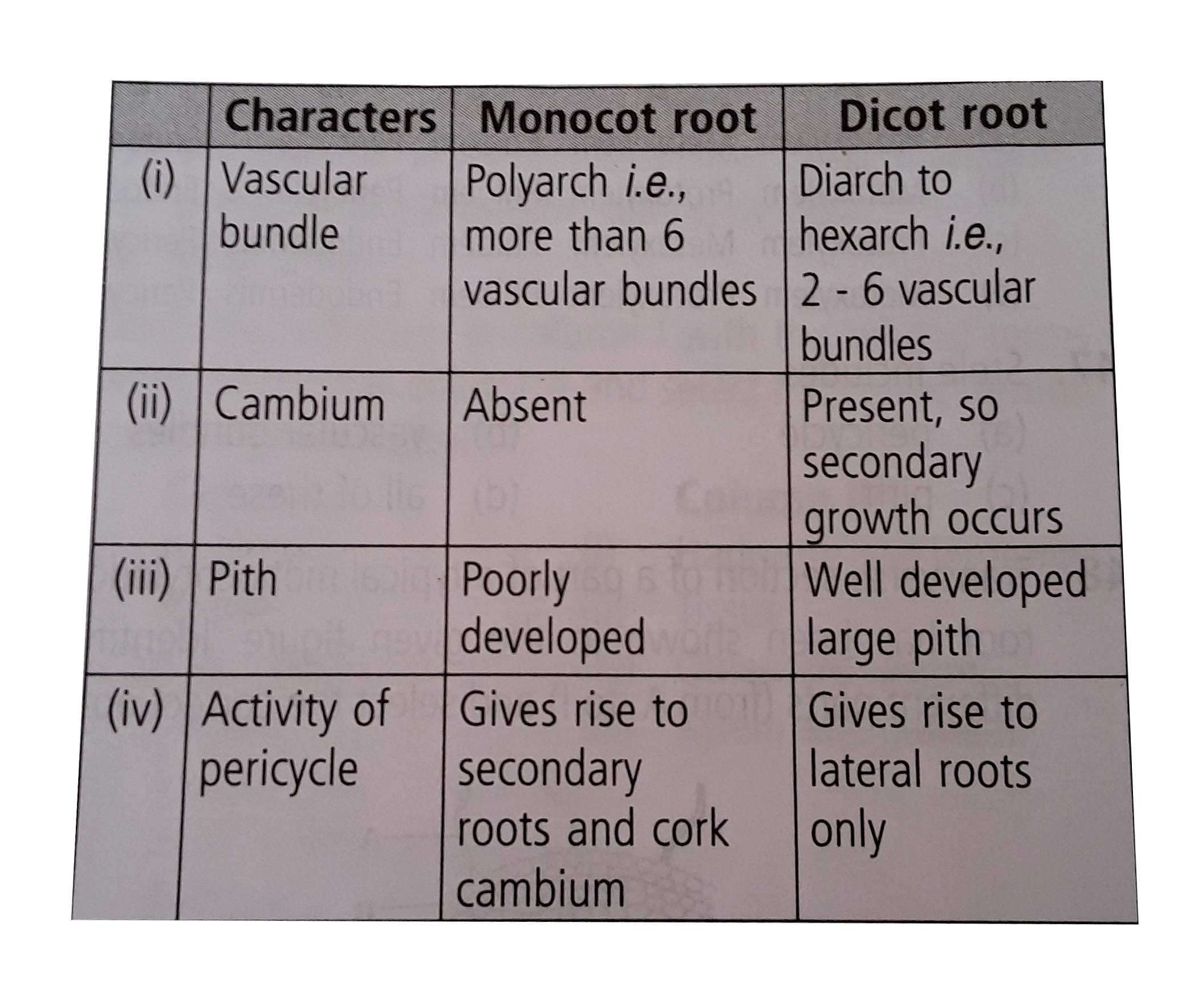 Following table summarises the differences between a monocot root and a dicot root. Identify the incorrect differences and select the correct option