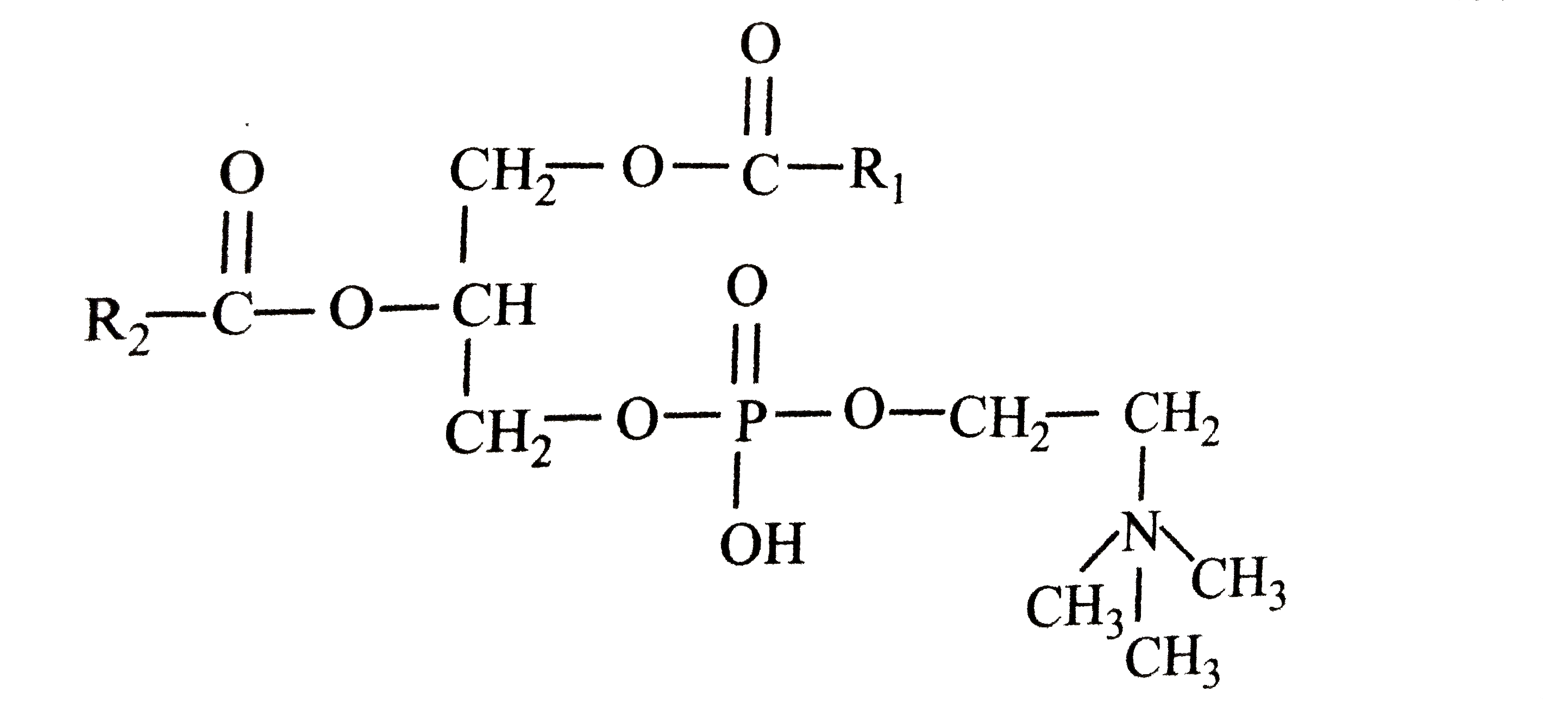 Given structural formula is correctly identified along with its related function by which of the following options ?