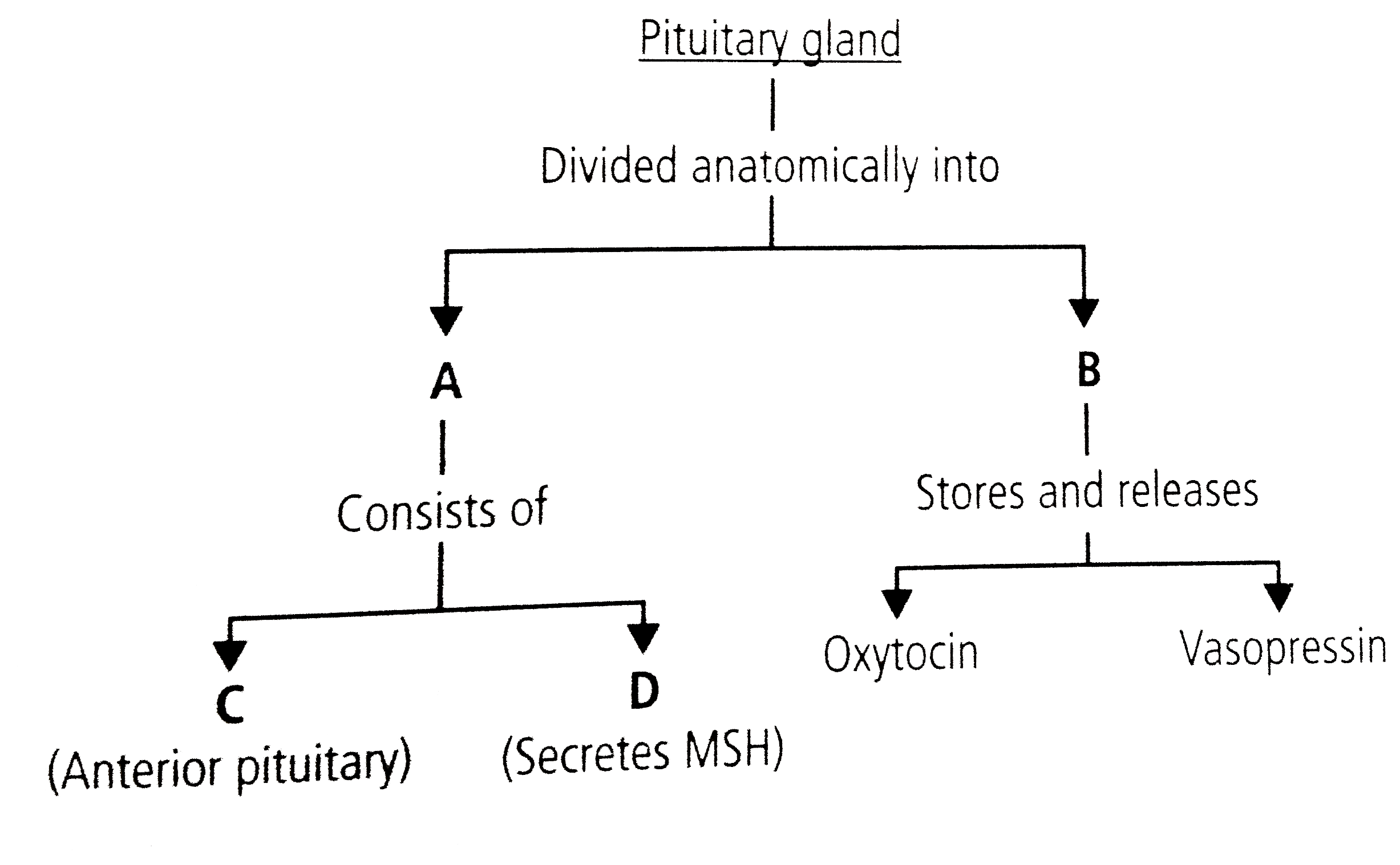 Identify A,B,C and D in the given flow chart and slect the correct option.