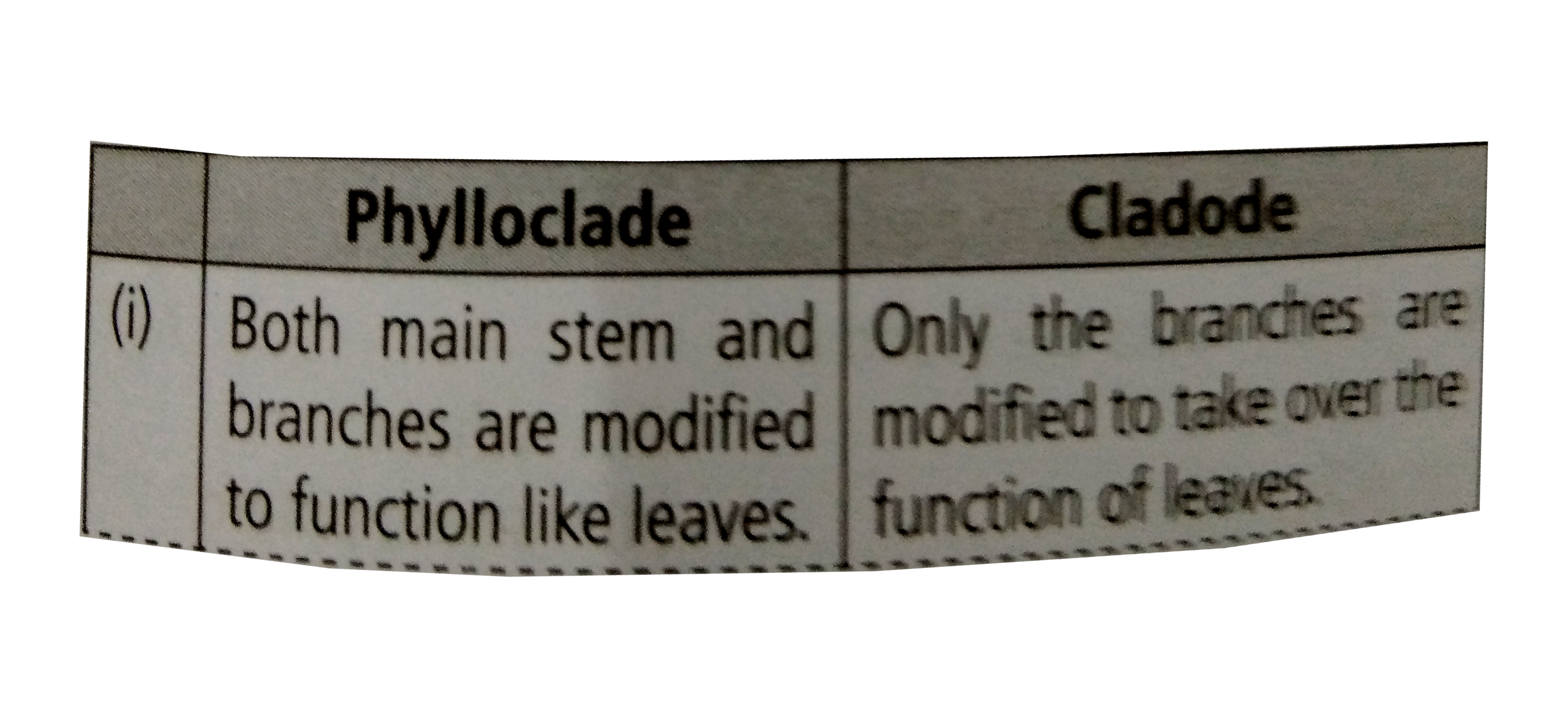 Following table summerises the comparisions between phylloclades and cladodes (cladophylls).          Pick up the wrong differences and select the correct option