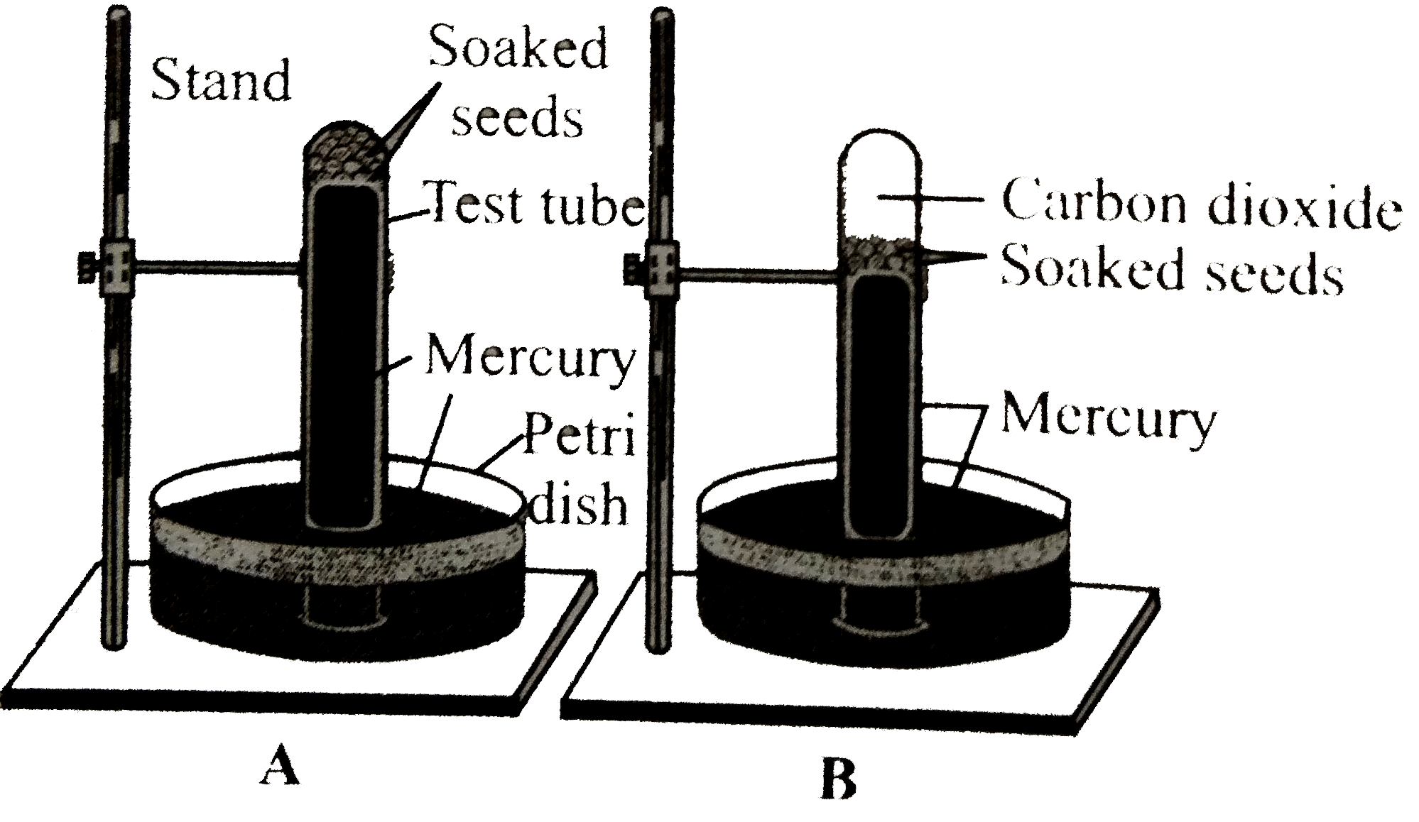 The given experimental set-up demonstrates