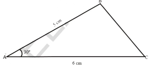 In the adjacent figure. AC = 6 cm, AB = 5 cm and angleBAC = 30^(@). Find the area of the triangle.